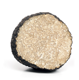 Brisures de truffes d'été Tuber aestivum biologiques 50 g La Cerca