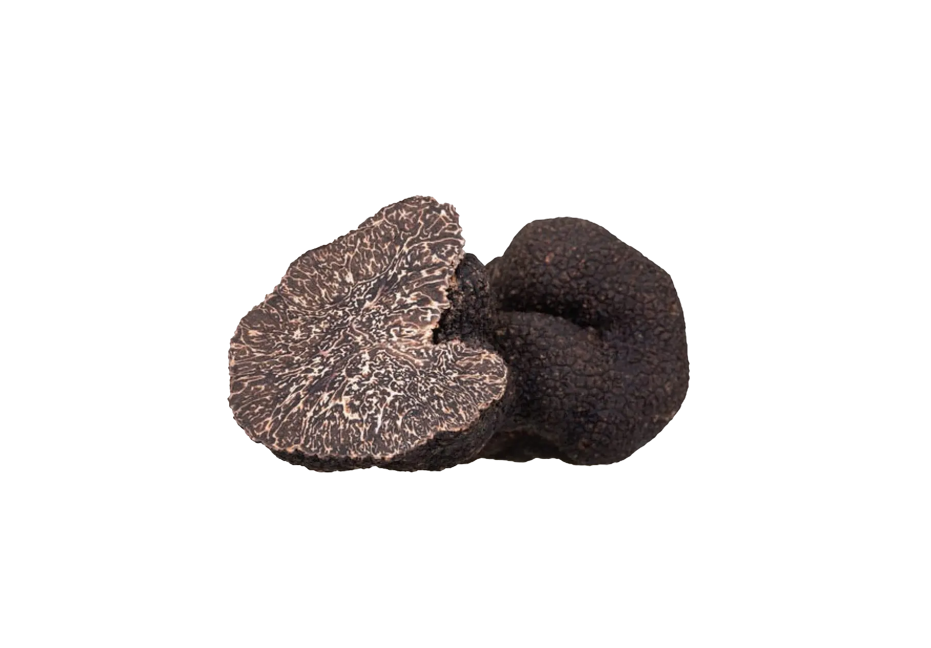 Truffe noire du Périgord : Truffe tuber melanosporum
